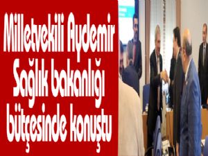 Aydemir Sağlık bakanlığı bütçesinde konuştu