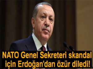 NATO Genel Sekreteri skandal için Erdoğan'dan özür diledi