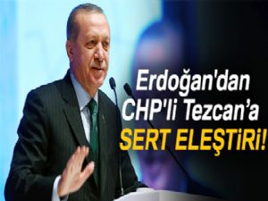 Cumhurbaşkanı Erdoğan'dan CHP'li Tezcan'a sert eleştiri