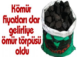 Kömür fiyatları dar gelirliye ömür törpüsü oldu