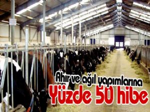 Ahır ve ağıl yapımlarına yüzde 50 hibe