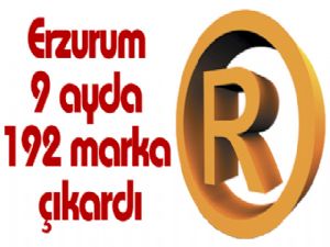 Erzurum 9 ayda 192 marka çıkardı