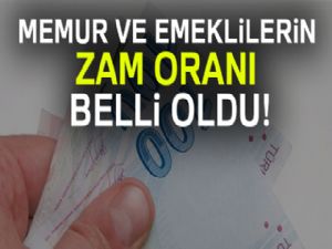 2018 ocak-temmuz emekli maaş zammı ne kadar ? 