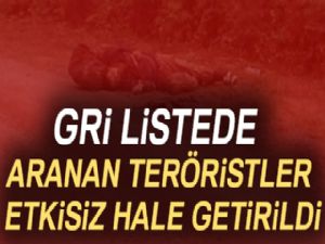 İçişleri Bakanlığı: 16 terörist etkisiz hale getirildi