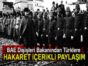 BAE Dışişleri Bakanından Türklere hakaret içerikli paylaşım