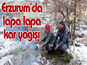 Erzurum'da lapa lapa kar yağışı