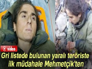Gri listede bulunan yaralı teröriste ilk müdahale Mehmetçik'ten