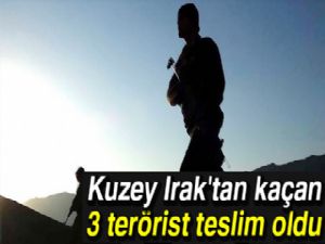 Kuzey Irak'tan kaçan 3 terörist teslim oldu