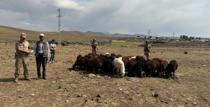 Hayvan hırsızları Jandarmadan kaçamadı