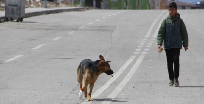 İşkence edilen köpeğe çocuklar sahip çıktı