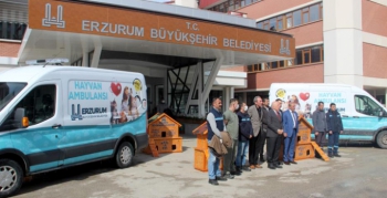 Sokak hayvanları dört mevsim korunacak