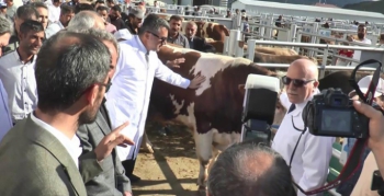 Vali Memiş ve Başkan Sekmen hayvan pazarını gezdi