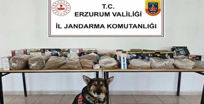 Kaçakçılara geçit yok