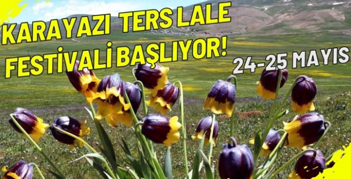 Karayazı ters lale festivali başlıyor