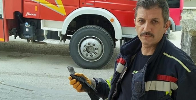 Karga yavrusuna uzanan şefkat eli