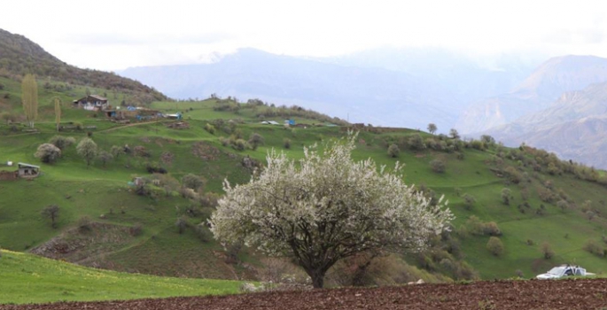 Karnavas muhteşem doğasıyla büyülüyor