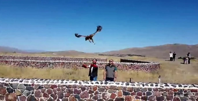 Kızıl Şahin doğal yaşamına bırakıldı
