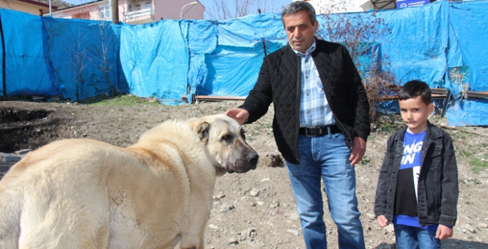 Köpek dile geldi; Benim adım Ejder