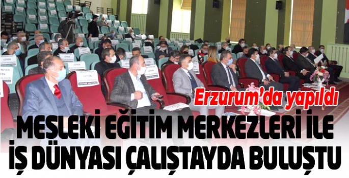 Mesleki eğitim merkezleri ile iş dünyası çalıştayda buluştu