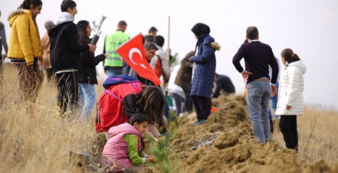 Milli Ağaçlandırma Günü’nde 20 bin 600 fidan toprakla buluştu