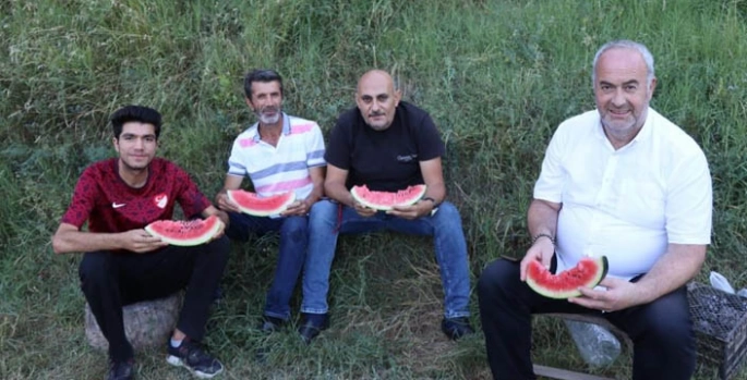 Oltu’da karain karpuzu hasadı