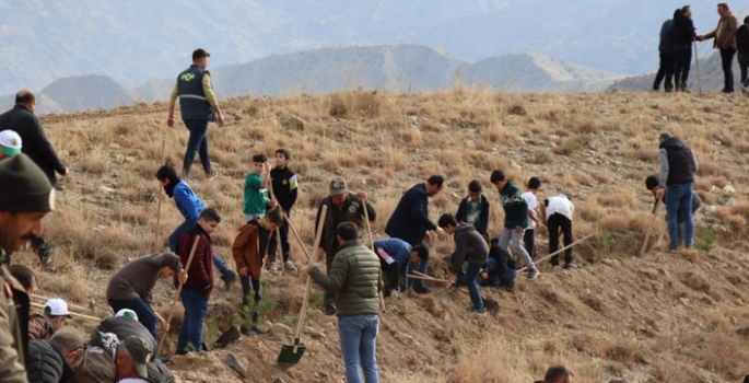 Oltu’da yeşil atak