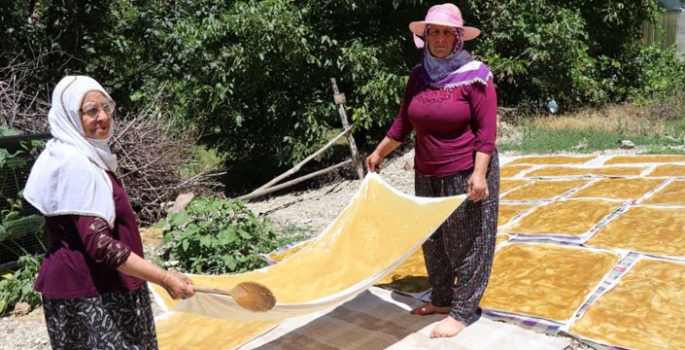 Olur’da Karnavas dut pestili zamanı