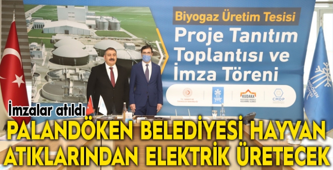 Palandöken Belediyesi hayvan atıklarından elektrik üretecek