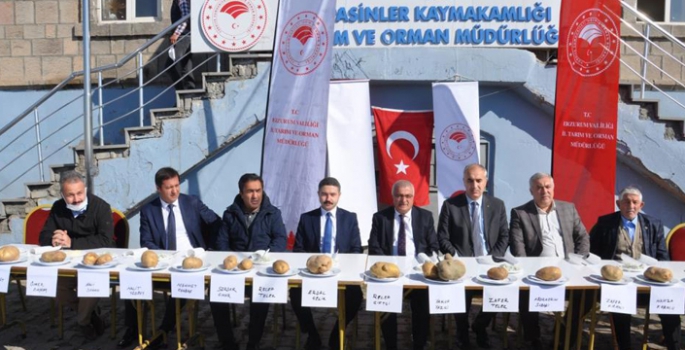 Pasinler’de patates yarışması düzenlendi