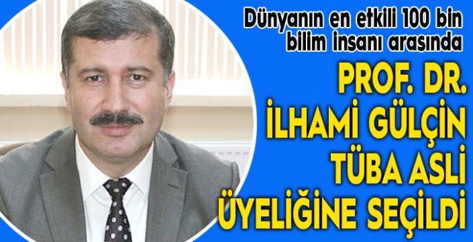 Prof. Dr. İlhami Gülçin Tüba asli üyeliğine seçildi