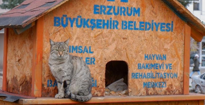 Sekmen; Her can bize emanet