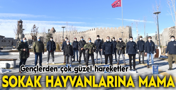 Sokak hayvanlarına mama bıraktılar