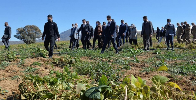 Su sorununa dikkat çekmek için fasulye ekmişler