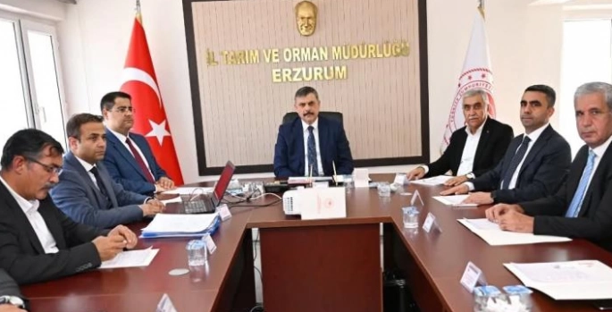 Toprak zirvesi