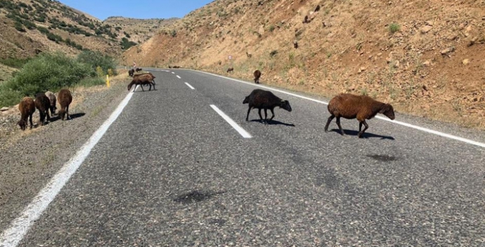 Valilikten ‘ceza’ açıklaması