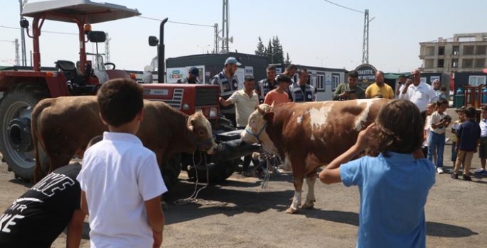 Yakutiye Hatay’da kurban kesti