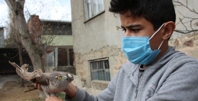 Yaralı atmacaya sahip çıktı, tedavi ettirip doğaya saldı