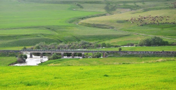 Yem bitkileri desteklemeleri için ÇKS süreci başladı