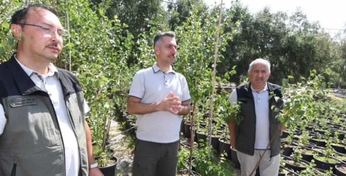 Yılsonuna kadar 908 bin fidan toprakla buluşacak