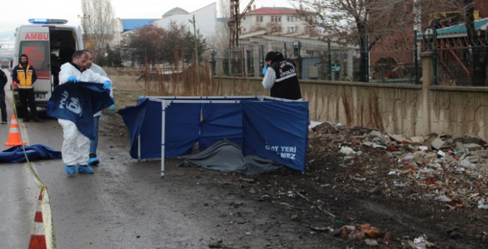 Yol kenarında parçalanmış ceset bulundu