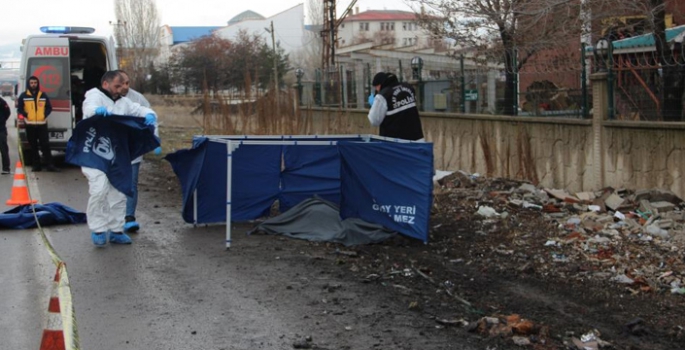 Yol kenarında parçalanmış ceset bulundu