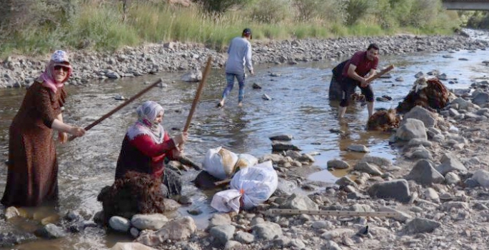 Yün sezonu başladı