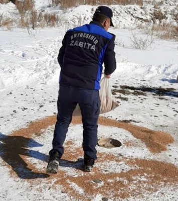 Zabıta ekipleri doğaya kuşlar için yem bıraktı